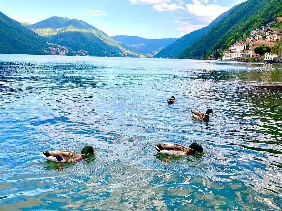 Una Mansarda Sul Lago Di Como