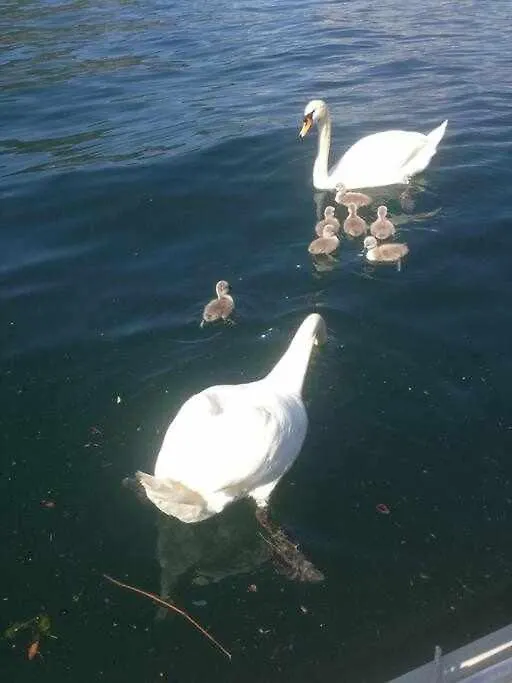 Una Mansarda Sul Lago Di Como Italy